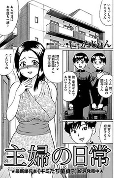 主婦の日常 [三和出版]