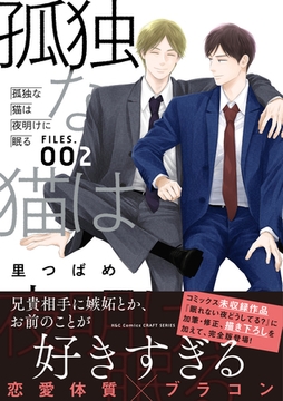 孤独な猫は夜明けに眠る FILES.002 [大洋図書]