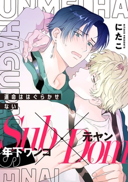 運命ははぐらかせない [メディアソフト]