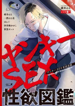 ヤンキーSEX性欲図鑑 [ジュネット]