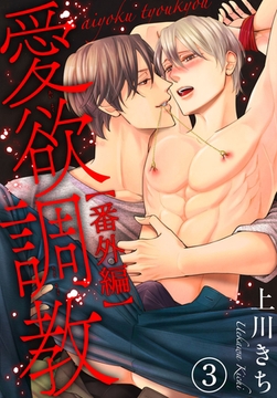 愛欲調教 28巻 [秋水社ORIGINAL]