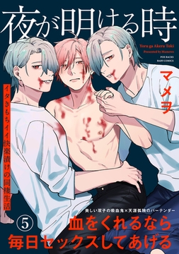 夜が明ける時(5) [ふゅーじょんぷろだくと]