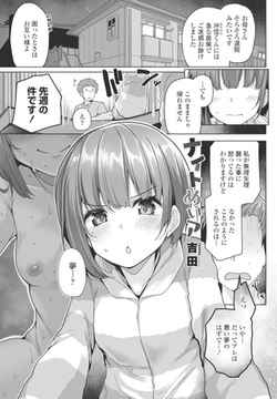 ナイトめいア [辰巳出版]