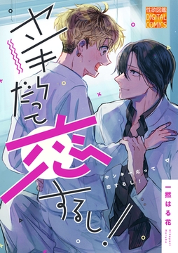 ヤンキーだって恋するし! [ジュネット]