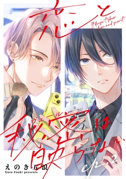 恋と秘密は映らない2 [メディアソフト]