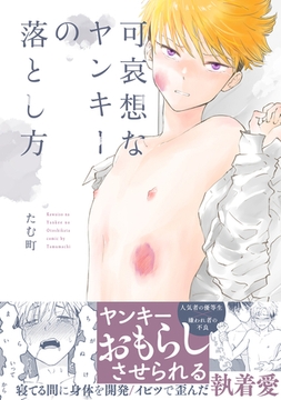 可哀想なヤンキーの落とし方 [ふゅーじょんぷろだくと]