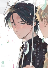 新装版 キューピッドに落雷 追撃【電子限定描き下ろし特典付】 [光文社]