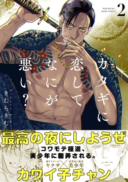 カタギに恋してなにが悪い？(2) [ふゅーじょんぷろだくと]