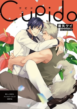 Cupido [ブシロードワークス]