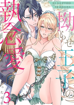拗らせ王子の執念愛～僕が先に好きだったのに～3 [STDパブリッシング]