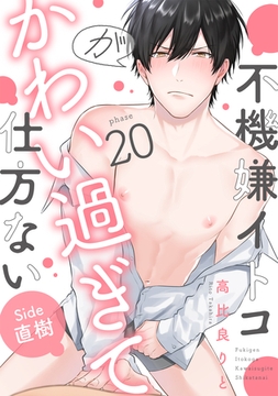 不機嫌イトコがかわい過ぎて仕方ない(20)　side直樹 [英和出版社]