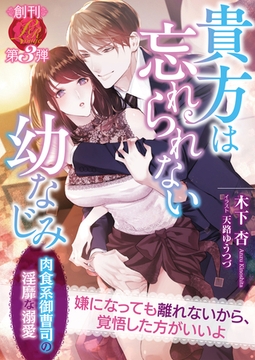 貴方は忘れられない幼なじみ　〜肉食系御曹司の淫靡な溺愛〜 [パラダイム]