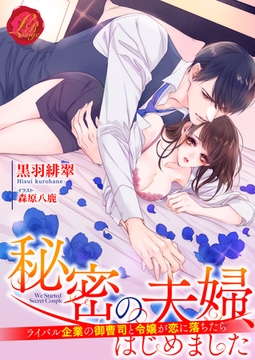 秘密の夫婦、はじめました　～ライバル企業の御曹司と令嬢が恋に落ちたら～ [パラダイム]