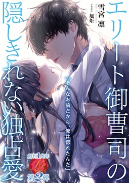 エリート御曹司の隠しきれない独占愛 [パラダイム]