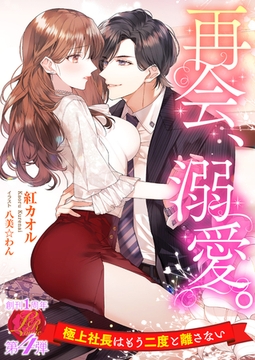 再会、溺愛。～極上社長はもう二度と離さない～ [パラダイム]