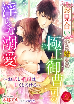 お見合いから始まる極上御曹司の淫らな溺愛　～お試し婚約は甘くとろける～ [パラダイム]