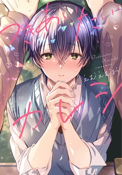 つきあいたいカレシ【電子限定おまけ付き】 [新書館]