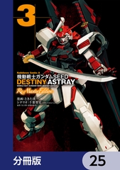 機動戦士ガンダムSEED DESTINY ASTRAY Re: Master Edition【分冊版】　25 [KADOKAWA]