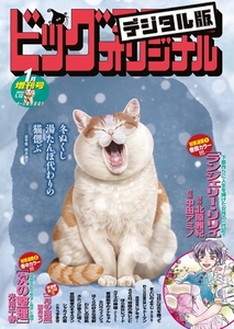 ビッグコミックオリジナル増刊 2024年1月増刊号（2023年12月12日発売） [小学館]