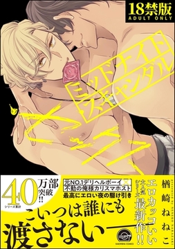 ミッドナイト・スキャンダル・セックス【極】【電子限定かきおろし漫画6P付】 [海王社]