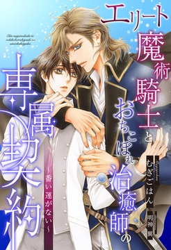 【全1-6セット】エリート魔術騎士とおちこぼれ治癒師の専属契約　～番い運がない～【イラスト付】 [ジュリアンパブリッシング]