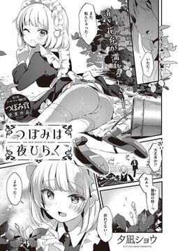 つぼみは夜ひらく [ジーオーティー]