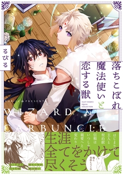 落ちこぼれ魔法使いと恋する獣【電子限定描き下ろし漫画付き】【コミックス版】 [笠倉出版社]