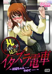 丸見えイタズラ電車～お兄ちゃん…やめて…～