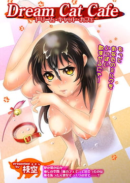 Dream Cat Cafe [メディアックス]