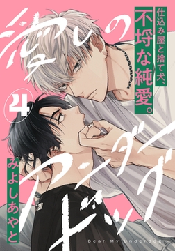 愛しのアンダードッグ(4) [アメイロ]