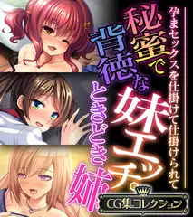 秘蜜で背徳な妹エッチ。ときどき姉 ～孕まセックスを仕掛けて仕掛けられて～【CG集コレクション】