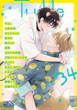 Tulle　vol.34 [ブライト出版]