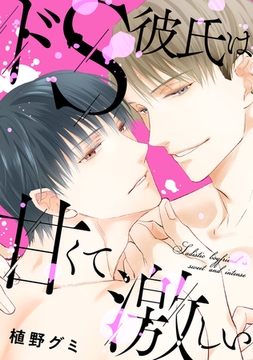 ドS彼氏は甘くて激しい【電子単行本版限定描き下し付き】 [コアマガジン]