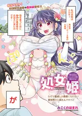 処女姫～なぜか童貞しか勇者になれない異世界から来たんですけど～（番外編）