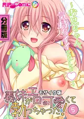 義妹がエロ可愛くて勃っちゃった！？ ～お兄ちゃん、気持ちイイことしよ～　分冊版（５） モザイク版