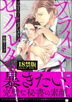 プライベート・セクレタリー【極】【電子限定かきおろし漫画付】 [海王社]