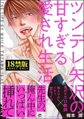 ツンデレ矢沢の甘すぎる愛され生活【極】【電子限定かきおろし漫画付】 [海王社]