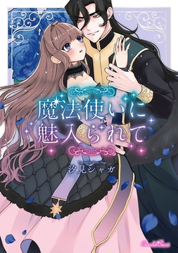 魔法使いに魅入られて [キルタイムコミュニケーション]