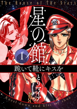 星の館1 跪いて靴にキスを [明廣本舗]