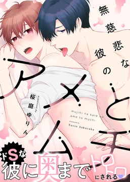 【特装版】無慈悲な彼のアメとムチ【電子限定おまけ付き】 [シガリロ]