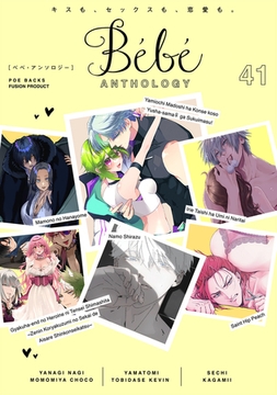 Bebe vol.41 [ふゅーじょんぷろだくと]