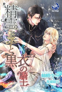 精霊王子と黒衣の騎士 [株式会社シーラボ]