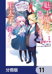 魅了魔法を暴発させたら破邪グッズをジャラジャラさせた王太子に救われました【分冊版】　11 [KADOKAWA]