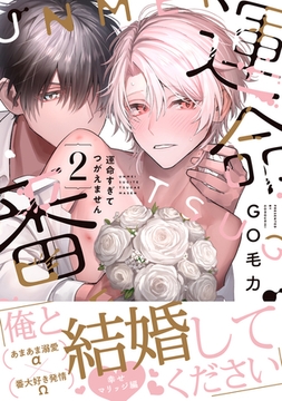 運命すぎてつがえません 2 [リブレ]