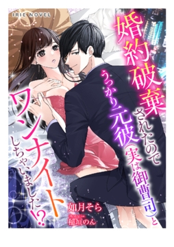 婚約破棄されたのでうっかり元彼（実は御曹司）とワンナイトしちゃいました!? [Palmier]