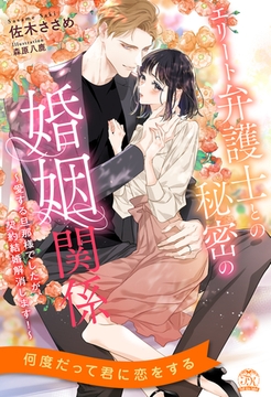 【全1-6セット】エリート弁護士との秘密の婚姻関係　～愛する旦那様でしたが、契約結婚解消します！～【イラスト付】 [ジュリアンパブリッシング]