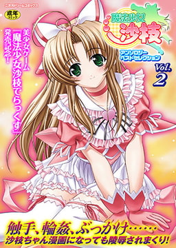 魔法少女沙枝アンソロジーベストセレクションVol.2 [キルタイムコミュニケーション]