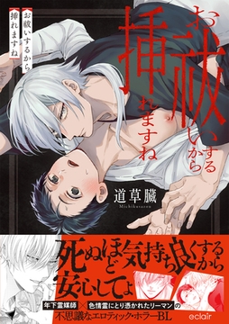 お祓いするから挿れますね【単行本版(限定描き下ろし付き)】 [MUGENUP]