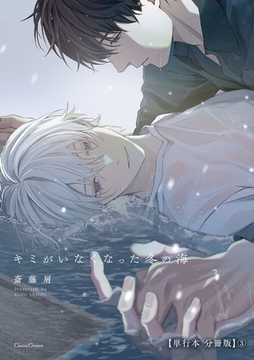 キミがいなくなった冬の海【単行本 分冊版】3 [プランタン出版]