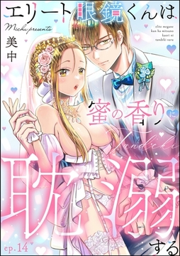エリート眼鏡くんは蜜の香りに耽溺する（分冊版）　【第14話】 [ぶんか社]